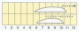 発生消長