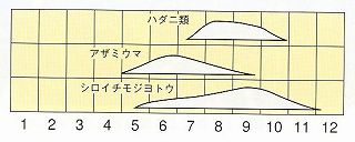 発生消長
