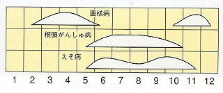 発生消長
