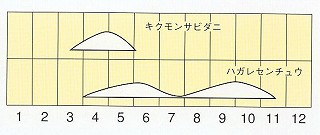発生消長