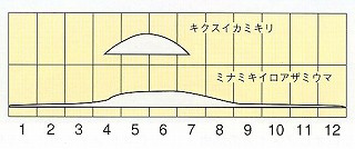 発生消長
