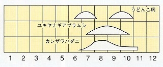 発生消長