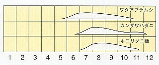 発生消長