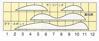 発生消長