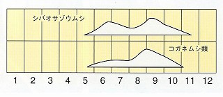 発生消長