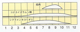 発生消長
