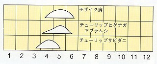 発生消長