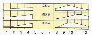 発生消長