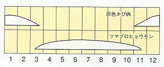 発生消長