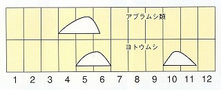 発生消長