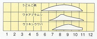 発生消長