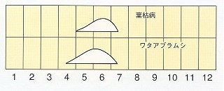 発生消長
