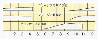 発生消長
