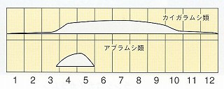 発生消長