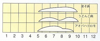 発生消長