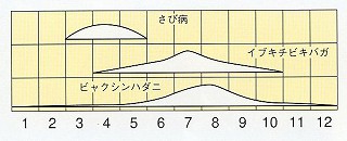 発生消長