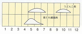 発生消長