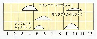 発生消長