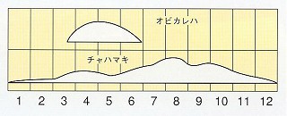 発生消長