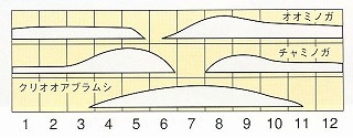 発生消長