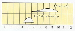 発生消長