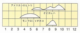 発生消長