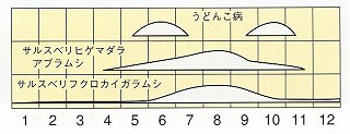発生消長