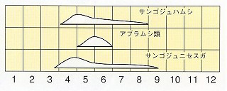 発生消長