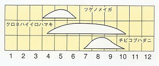 発生消長