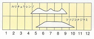 発生消長