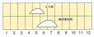 発生消長