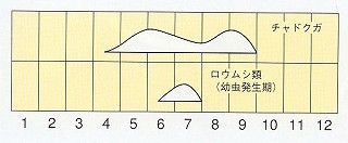 発生消長