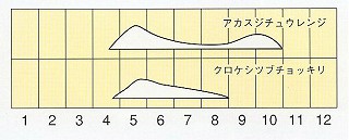発生消長