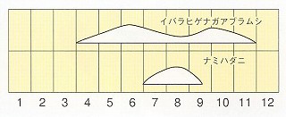 発生消長