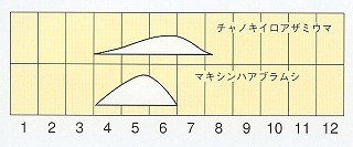 発生消長