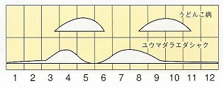発生消長
