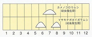 発生消長