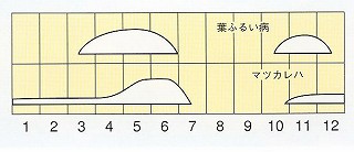 発生消長