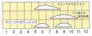 発生消長