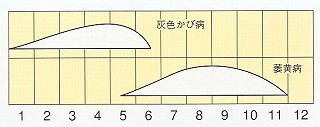 発生消長