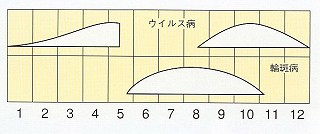発生消長