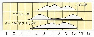 発生消長