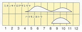発生消長