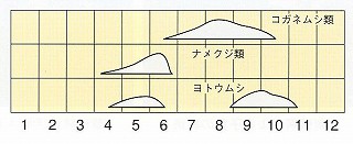 発生消長