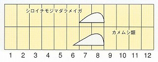 発生消長