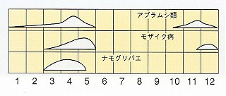 発生消長