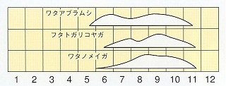 発生消長