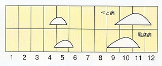 発生消長