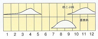 発生消長