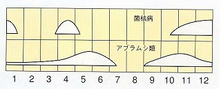 発生消長